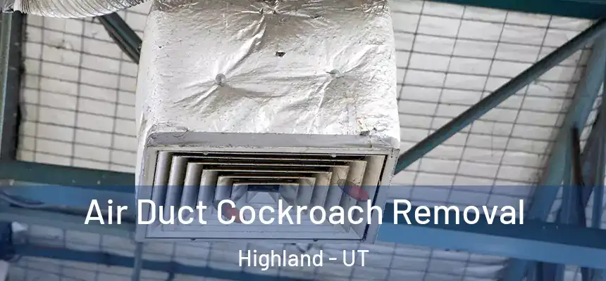 Air Duct Cockroach Removal Highland - UT