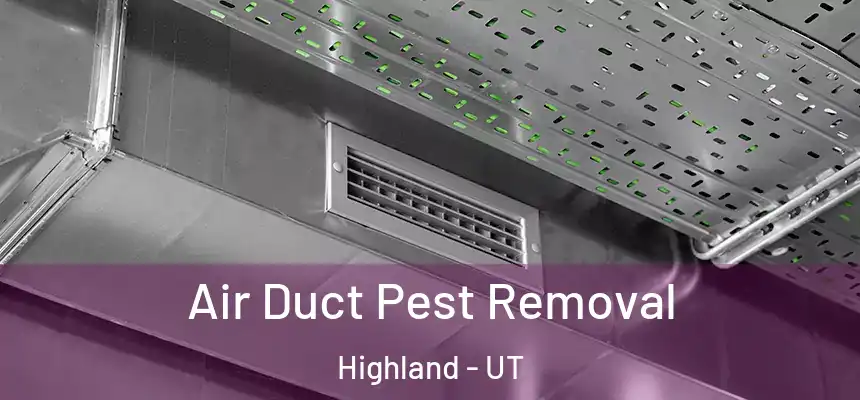 Air Duct Pest Removal Highland - UT