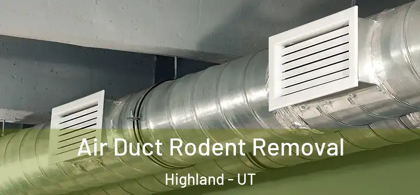 Air Duct Rodent Removal Highland - UT