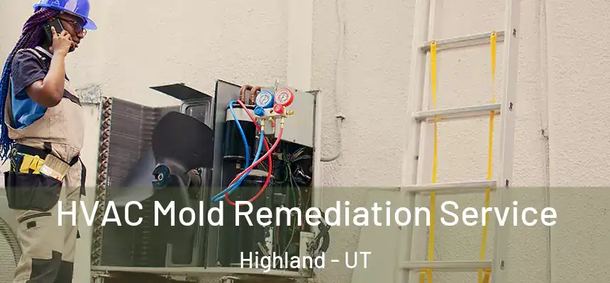 HVAC Mold Remediation Service Highland - UT