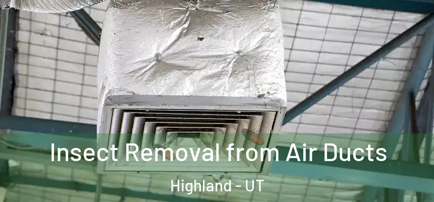 Insect Removal from Air Ducts Highland - UT