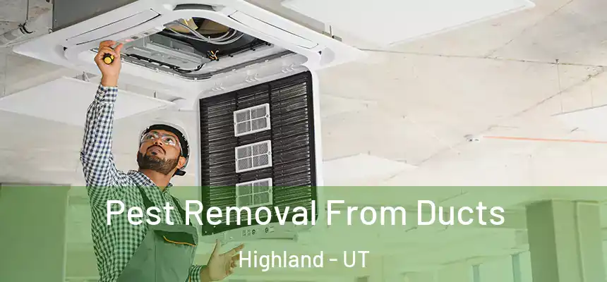 Pest Removal From Ducts Highland - UT