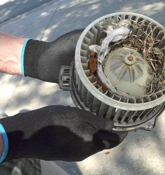 About Air Duct Mice Removal in Highland, UT