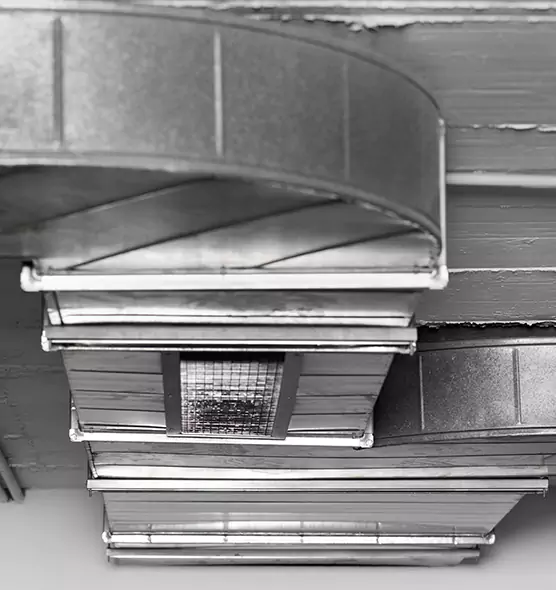 Professional Air Duct Pest Removal in Highland, UT