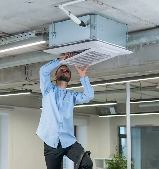 Advanced Rodent Droppings In Vents in Highland, UT